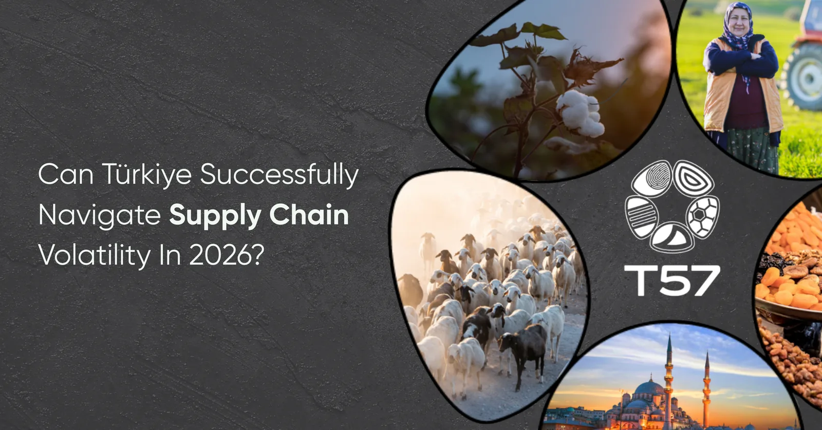 Cover image for “Structural Shifts That Will Redefine Turkish Agriculture in 2026”