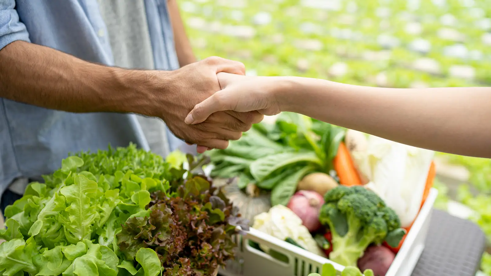 A grower hands a crate of fresh vegetables to a buyer with a handshake.