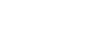 MBS Global Investments